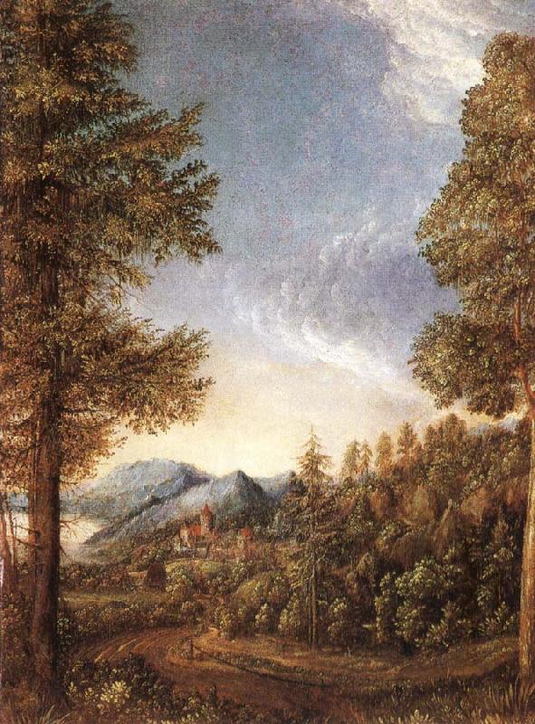 Albrecht Altdorfer Danube-landscape France oil painting art